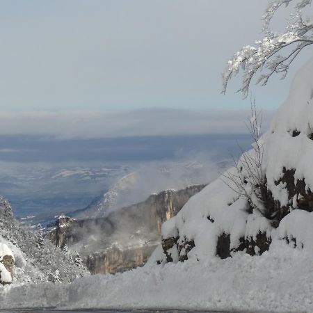 سان-جان-أون-رويان Hotel Du Col De La Machine المظهر الخارجي الصورة