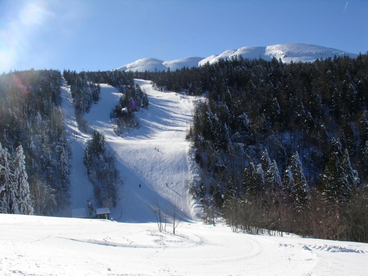 سان-جان-أون-رويان Hotel Du Col De La Machine المظهر الخارجي الصورة